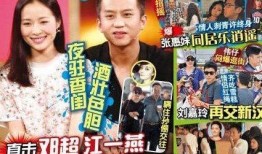 天仙的八卦爆料视频大全,视频大全背后的精彩故事